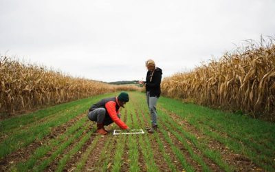 La Sostenibilidad en la Agricultura: Nuestro Compromiso