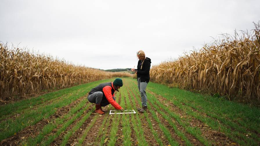 La Sostenibilidad en la Agricultura: Nuestro Compromiso